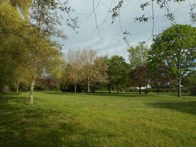 Le parc Maudoux, pelouse et arbres