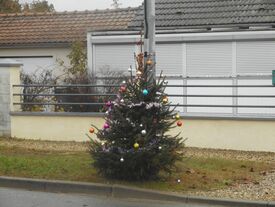Rue des Tilleuls, milieu