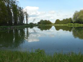 La lagune