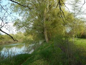Le Parc Maudoux, rives de l'Aisne