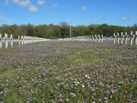 Cimetière militaire, les tombes