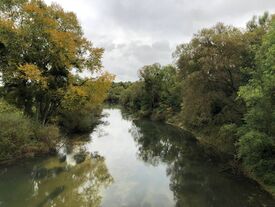 L'Aisne en amont du pont de Pontavert