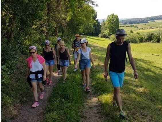 En lisière de forêt, il y a de l'ombre